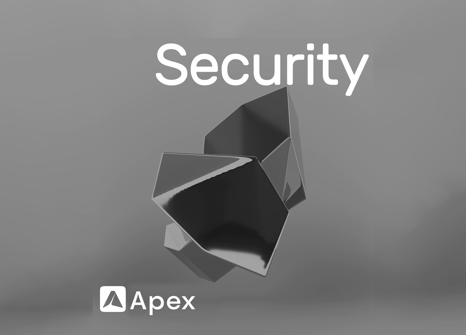 Security at Apex Accelerator